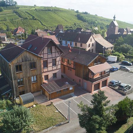 Pinot Gris - Charmant Studio Au Coeur Du Vignoble - Parking Gratuit Риквир Екстериор снимка